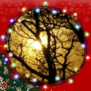 Meet your Posher, Sandy